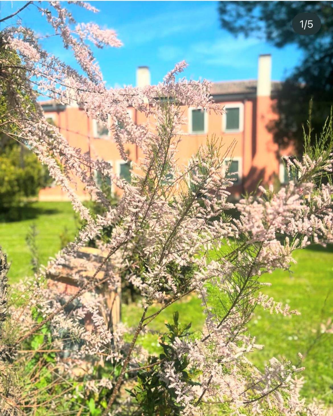 Scardovari Agriturismo Ca' Bonelli 1924 מראה חיצוני תמונה